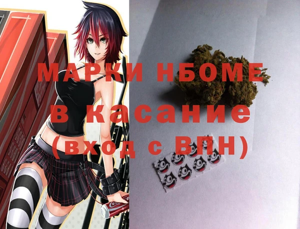 шишки Горно-Алтайск