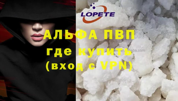 шишки Горно-Алтайск