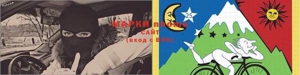шишки Горно-Алтайск