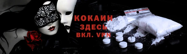 шишки Горно-Алтайск