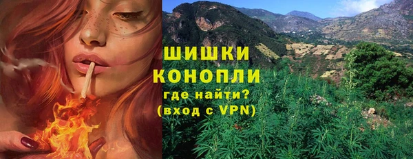 шишки Горно-Алтайск