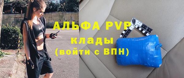 шишки Горно-Алтайск