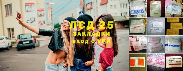 мяу мяу мука Горняк