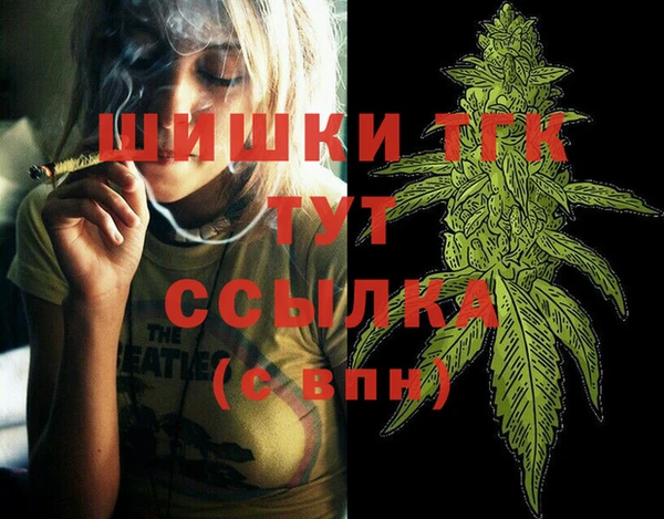 шишки Горно-Алтайск