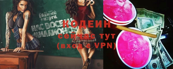 шишки Горно-Алтайск